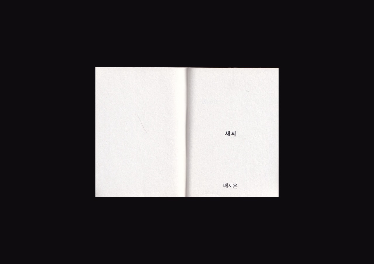새 시 이미지 1