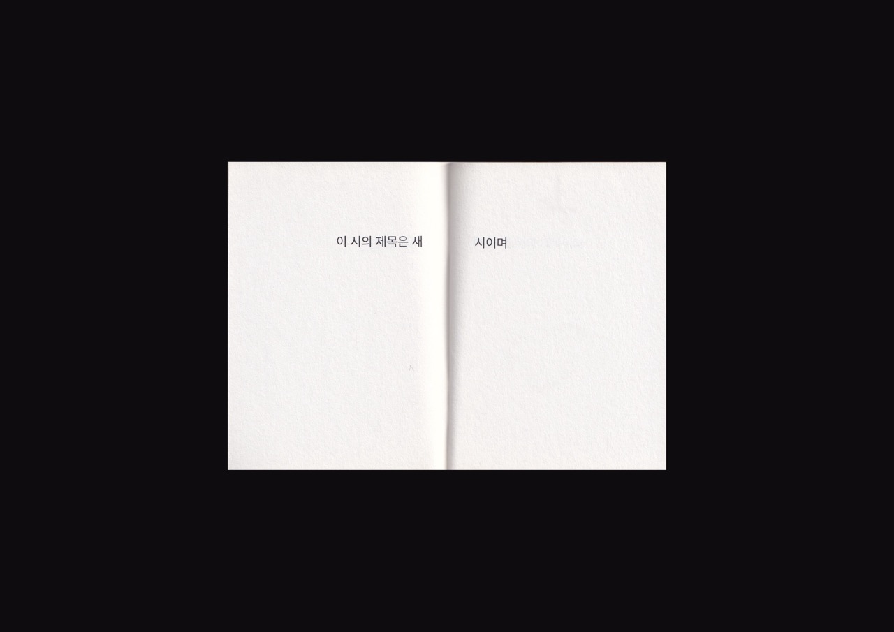 새 시 이미지 4