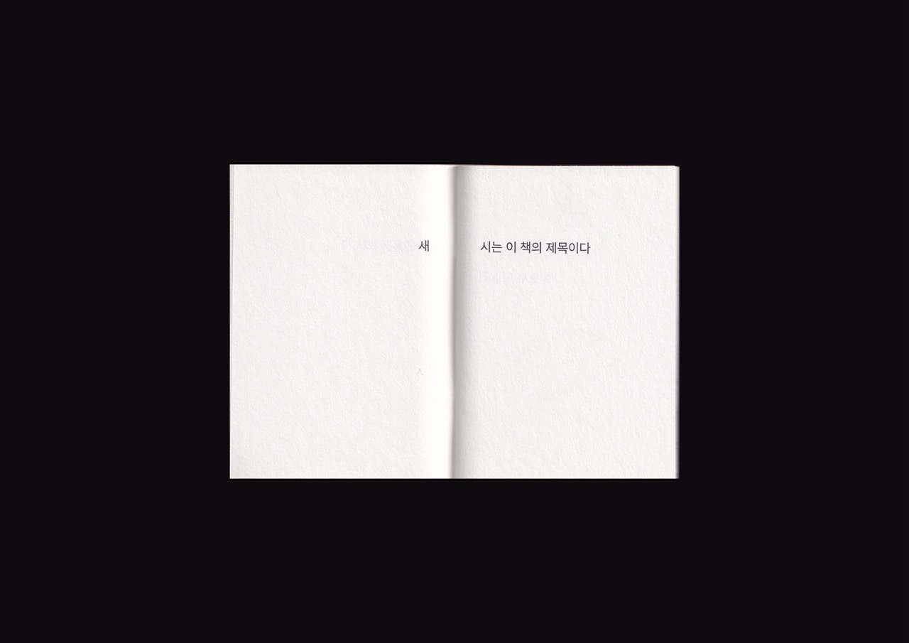 새 시 이미지 5