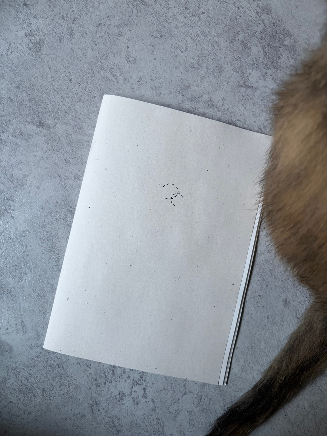 Orbiting 썸네일 2